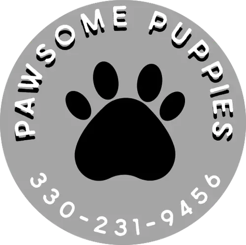 pawsomepuppies.shop